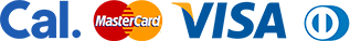 الدفع عن طريق الفيزا (VISA)